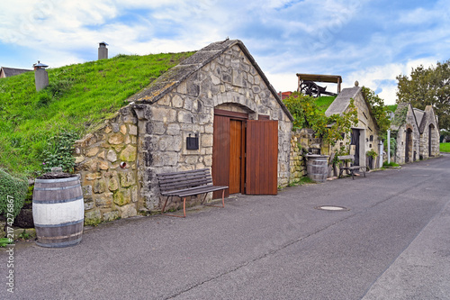 Traditional Historic Wine Cellars with Green Roofs in Purbach Austria