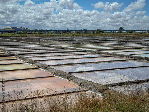 Quadro su tela salt flats, salt pans in Aveiro, Portugal
