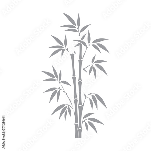 Illustrated Gray Bamboo Stalks with Leaves Isolated
