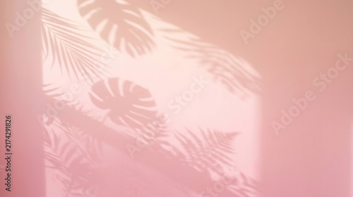 Aesthetic tropical leaf shadows creating a soft pink and peach background.