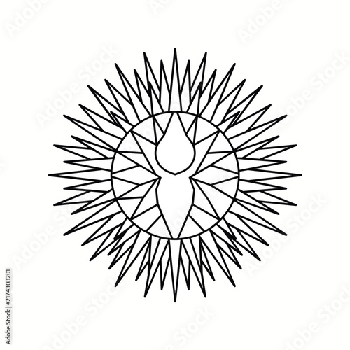 Sunburst Radiating Lines Vector Illustration Design
