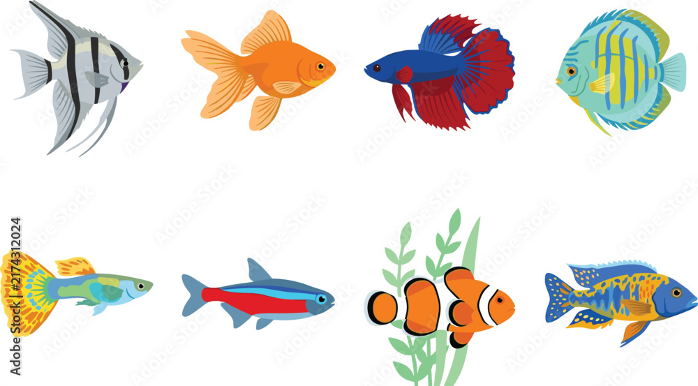 Fototapeta premium Colorful Tropical Aquarium Fish Collection Illustration with Exotic Freshwater and Marine Species