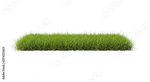 A lush green grass patch isolated on a transparent background, featuring realistic blades of vibrant meadow turf arranged in a dense, natural horizontal cluster perfect for architectural landscape.