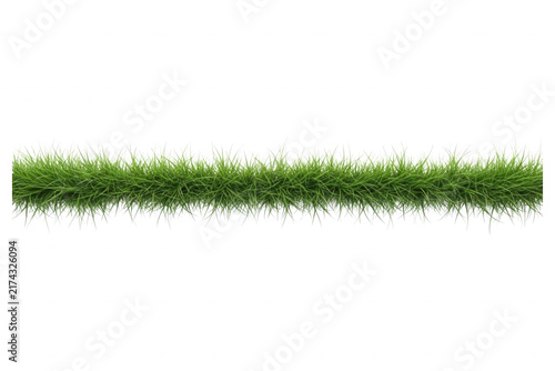 A horizontal strip of lush green grass isolated on a transparent background featuring realistic blades of turf with natural textures and vibrant colors for landscape design and architectural.