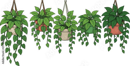  Cartoon set of hanging plants in decorative pots isolated on white background. Vector illustration of domestic flowers with lush green leaves and vines, indoor garden elements, modern interior design