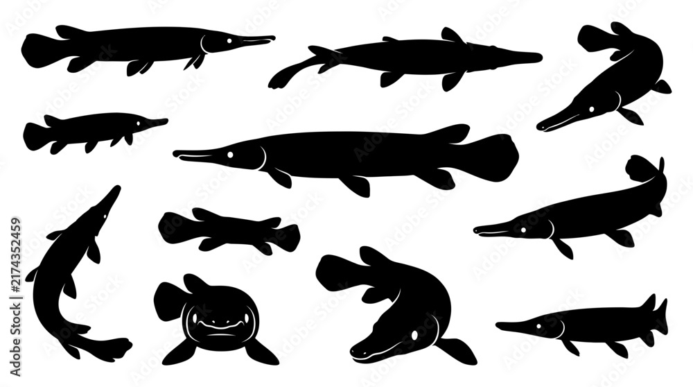 Fototapeta premium Alligator Gar Fish Silhouettes Set Vector Illustration
