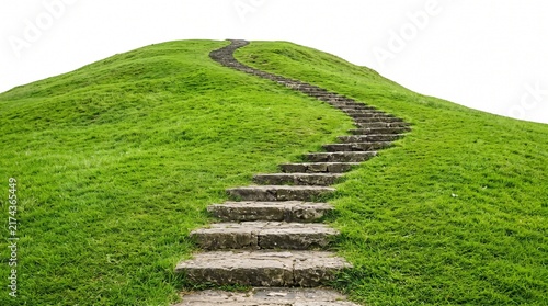 Winding stone path ascending a lush green hillside under overcast sky