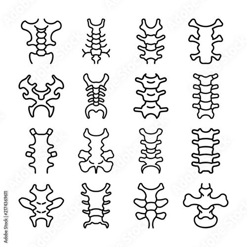 Spine Vertebra Anatomy Medical Icon Set