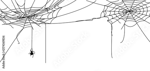 Foto Halloween tangled web on transparent background, dangling spider on silk thread,