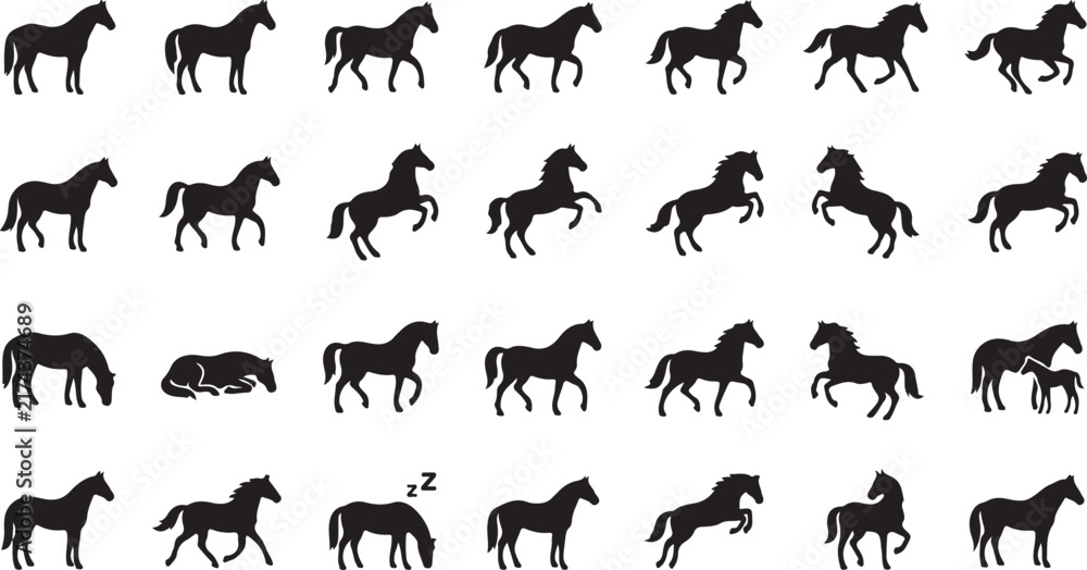 Obraz premium Black horse silhouettes showing various poses and movements with silhouette