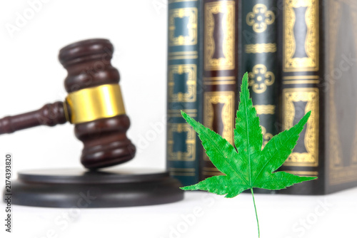 Judicial Gavel and Cannabis Marijuana Leaf Representing Cannabis Law and Legalization