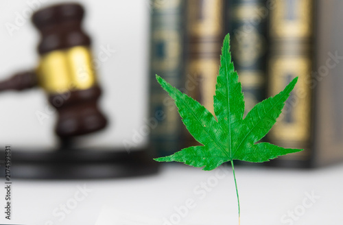 Judicial Gavel and Cannabis Marijuana Leaf Representing Cannabis Law and Legalization