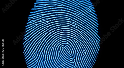 Close-up Blue Fingerprint Biometric Security Pattern on Dark Background