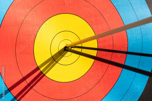 Quadro su tela Arrows piercing the bullseye of an archery target, representing accuracy and ach