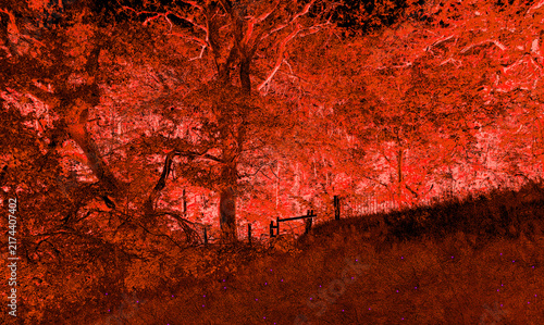 Konstfotografi *The Silence of Melting* poetry themed image, depicting an eerie, dark forest washed in red and orange hues