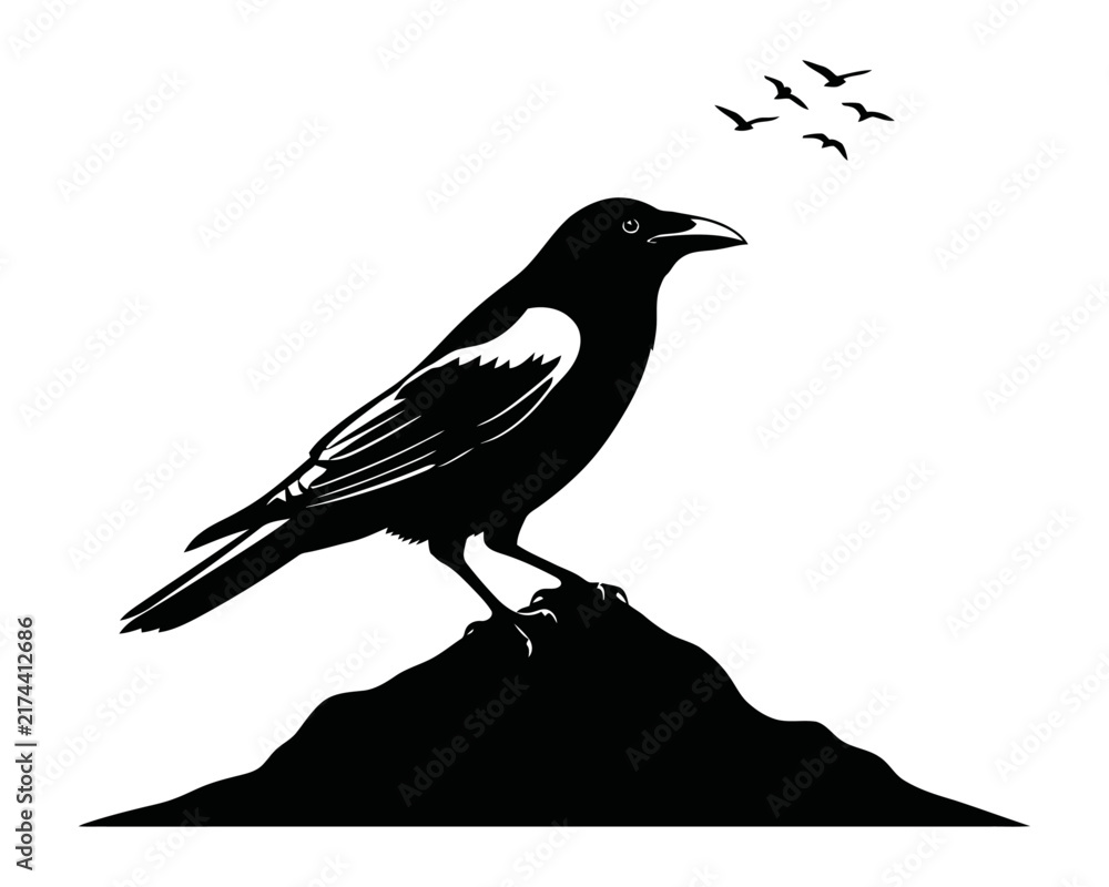 Fototapeta premium Black Crow Silhouette Standing on Ground with Flying Bird