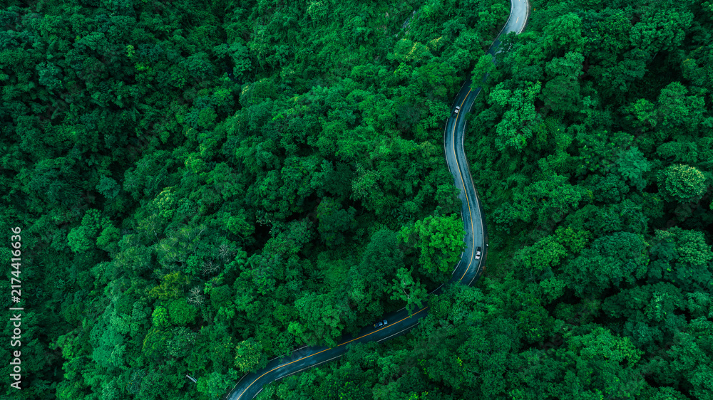 Obraz premium Aerial tropical forest landscape featuring a winding highway, perfect for corporate Sustainability Reports, Green Finance communication, Climate Resilience planning, Renewable Energy investment, and b