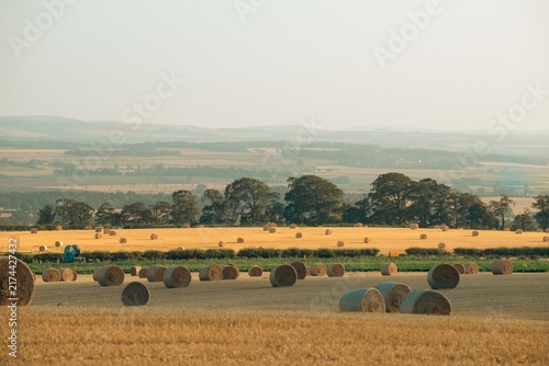 stanning view of wrapped round bales of hay on golden fields 