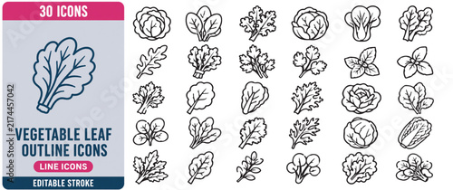 Vegetable leaf line icon set. Lettuce, spinach, kale, cabbage, basil, salad greens outline vector illustrations. Symbols for organic food on white background.