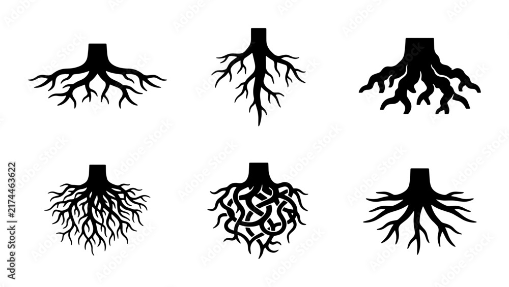 Fototapeta premium Six Black Silhouette Tree Root Systems, Organic Growth Icons, Natural Foundation Vector Art