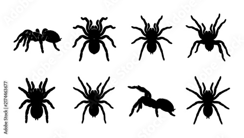 Spider Silhouettes Vector Set: Arachnid Icons for Halloween, Horror, and Nature Designs