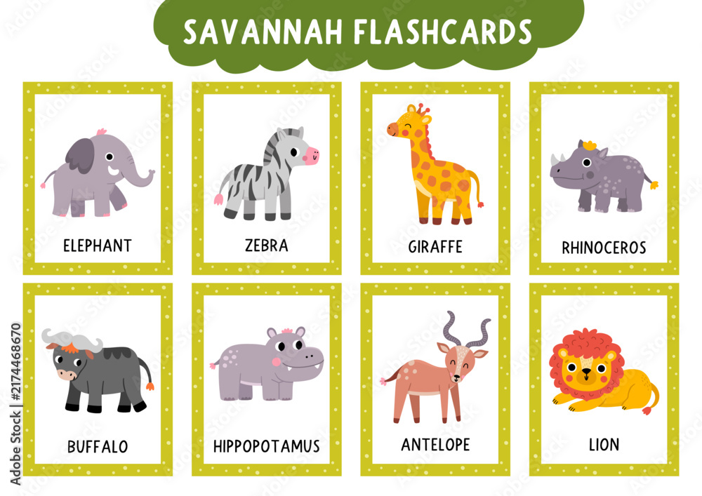 Naklejka premium Vector safari animals flash cards set with lion, giraffe, zebra, elephant. English language game for kids. African savannah flashcards. Savanna nature educational printable worksheet with antelope