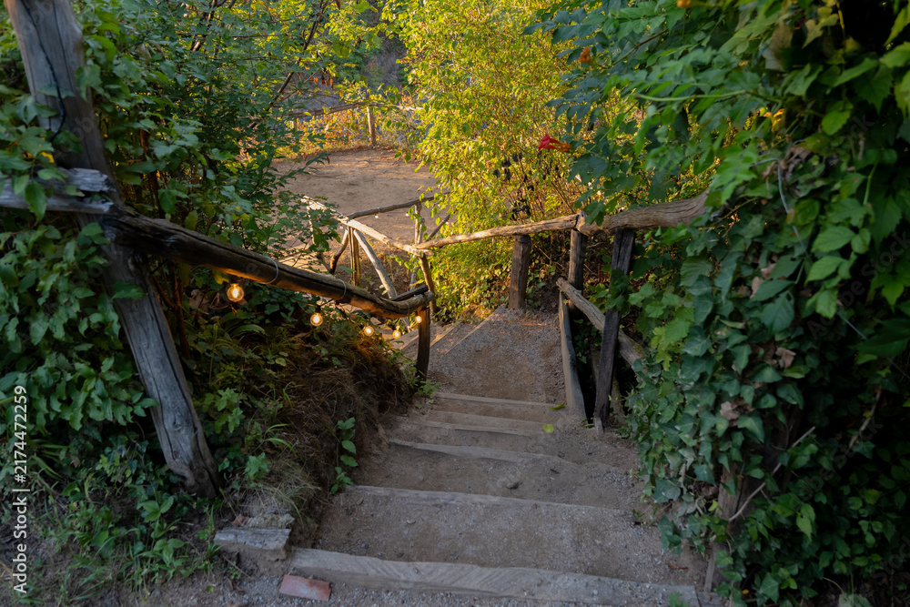 Obraz premium Rustic garden staircase descending through lush green foliage at sunset