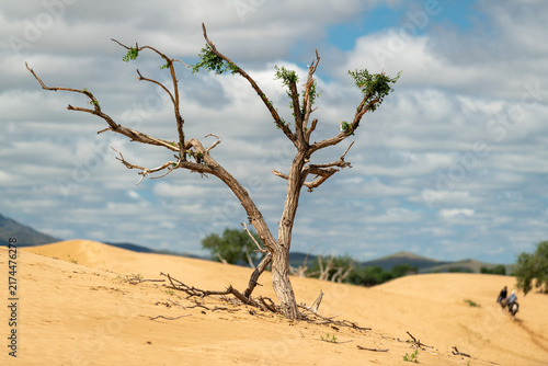 Dead tree in the desert with camel riders in the background