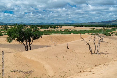 Gobi Desert scene with dunes and (dead) trees