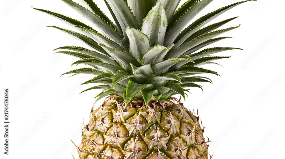 Fototapeta premium Isolated fresh ripe pineapple fruit with green crown and spiky leaves, tropical plant produce.