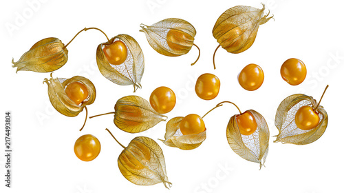 Obraz na płótnie Isolated Physalis fruits with and without delicate papery husks, known as Cape gooseberries