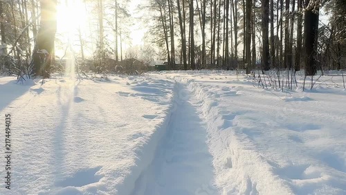 A beautiful snow-covered landscape. A sunlit, snow-covered forest path with frost-covered pine trees and snowdrifts