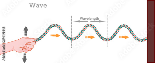 Transverse waves, echo, wavelength, diagram. Making waves. Periodic formation speed. Battle rope, chain, spring. Crests, troughs, Physics, sports graphic. Vector illustration