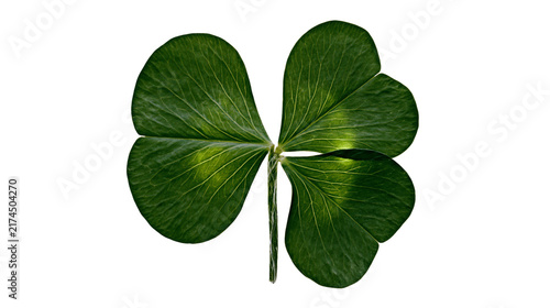 Foto Isolated four-leaf clover, a vibrant green plant symbolizing luck and good fortu