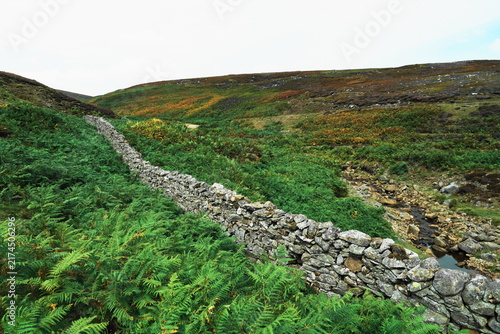 Bild auf Leinwand Bleaberry Gill, Swaledale, Yorkshire Dales, North Yorkshire, UK