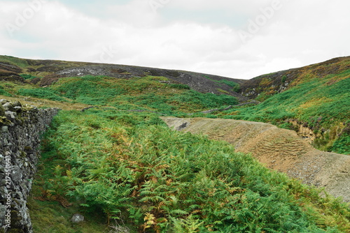Fotografía Bleaberry Gill, Swaledale, Yorkshire Dales, North Yorkshire, UK