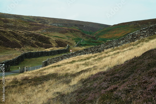 Bild auf Leinwand Bleaberry Gill, Swaledale, Yorkshire Dales, North Yorkshire, UK