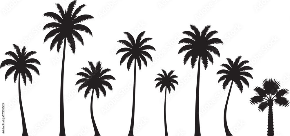 Fototapeta premium Black palm tree silhouettes isolated on a white background