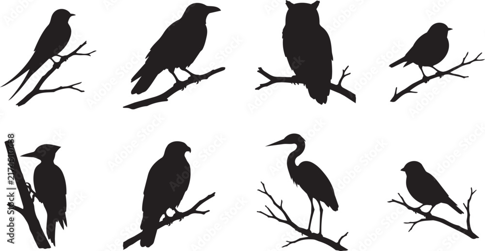 Naklejka premium Collection of various wild bird silhouettes perched on branches