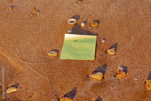 Canvastavla Green Blank Paper Sheet Mockup on Golden Sandy Ground with Shells