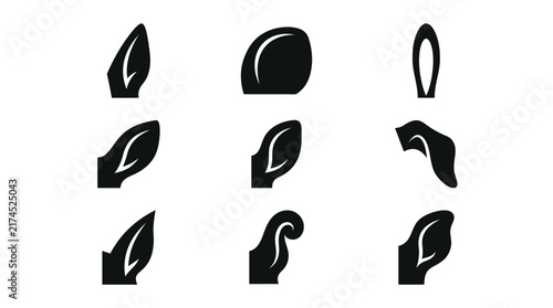 Collection of various leaf shapes.