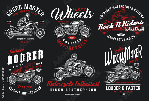 vector illustration
