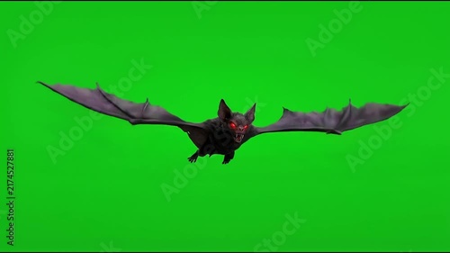 Animated bat flying on green screen background chroma key.