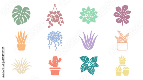 Colorful plants and leaves illustration set.