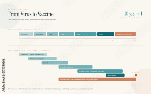 Vaccine development timeline infographic comparing the classic ten year route with a twelve month programme
