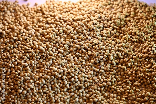Foto Commercial close-up photograph of an abundant spread of aromatic round coriander seeds, covering the entire frame to create a natural, organic texture background for culinary and spice concepts