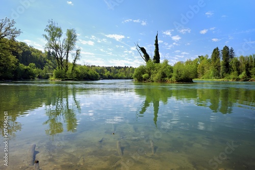 Small island in the Reuss river, beech trees sprouting leaves in spring, Niederwil, Gnadental, Bremgarten district, Canton of Aargau, Switzerland