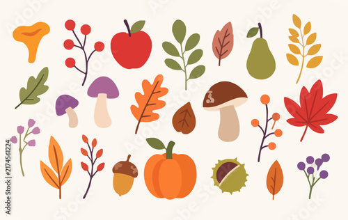 Fall nature collection with harvest botanical elements