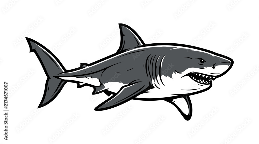 Fototapeta premium Shark_swimming_vector_illustration_2K_202608281838 [Converted]