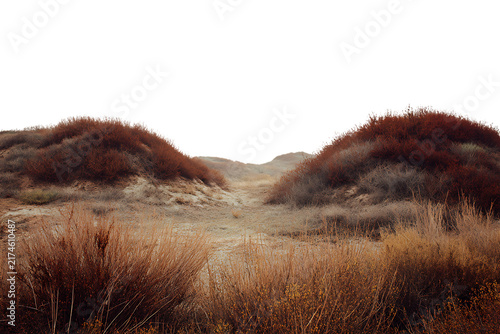Dry Grass in Mountain Fog at Morning Light with Scenic Meadow, Misty Hills, Cloudy Sky, Rural Countryside and Peaceful Autumn Nature Landscape